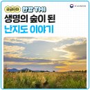 폐기물 산에서 생명이 피어나는 생태공원이 되기까지, 난지도 이야기