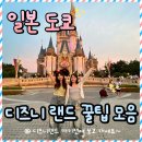 주식회사 매직덩크 | [일본 도쿄] 디즈니랜드 가는 방법, 티켓 가장 싸게 구매하는 법, 패스트패스 DPA 구매 방법, 레스토랑...