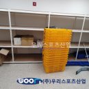 보체초등학교 이미지