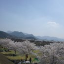 바이크인 이미지