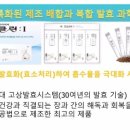 채이은