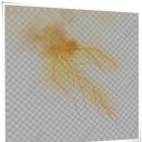 (주)시너지케어 | 비오틴 콜라겐 효능 비교 시너지 체험후기