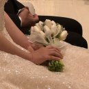 본식 | 더 채플 앳 청담 커티지홀 결혼식 후기💍