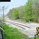 대철약수터 이미지