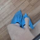 생활영어 (B) | [부산]2026학년도 중등교원임용(영어 2차) 후기+문제 복기