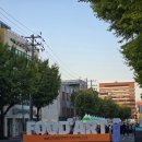 아트앤라인 | [순천여행]순천푸드앤아트페스티벌 2025 다녀온 후기