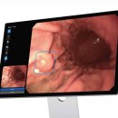 서울봄내과의원 이미지