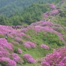 현성목장 이미지