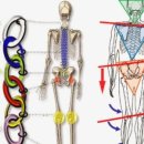 무브먼트 PT 스튜디오 네이버블로그