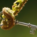 생활영어회화 이미지