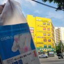 춘천보룡약국 이미지