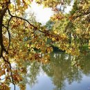 석바위정형외과의원 이미지