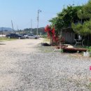 장미 펜션 이미지