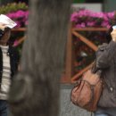 페르시아궁전 이미지