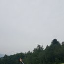 평창봉평메밀 이미지
