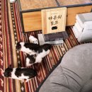 김종현 농장 이미지