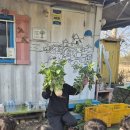 강민농장 이미지