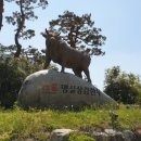 명실상감한우 화서점 이미지