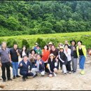 배미자농장 | 주연네 오미자 농원 방문