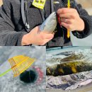 GR(화천군)-[상승로]-하-12 | 화천 가볼만한 곳 | 2024 화천 산천어축제 평일 예약 (준비물 리스트, 주차장 꿀팁)