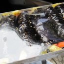 얌체꼬마김밥 이미지