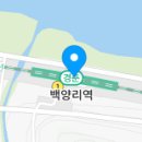능골엄나무토종닭 이미지