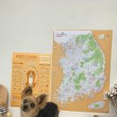 놀고가개 이미지