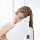 투개더하우스 이미지