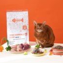 장헤어 - 강남구 | 본아페티 고양이 사료 후기, 헤어볼과 장건강!