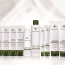 디앤컴퍼니 이미지