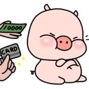 트레이더스 홀세일클럽 서면점(대형마트) 네이버블로그