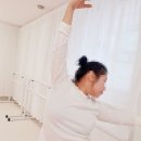 [공지] 안양/인덕원/동편마을 바디PT스튜디오 &gt; 발레핏 수업 후기