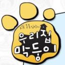 우리집 막둥이 이미지