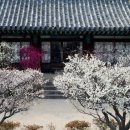 아취 Daum카페