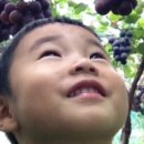 선진농원 이미지