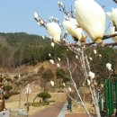 땅끝조각공원 이미지