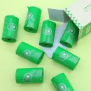 나들이 | 개모차 추천 폼포라펫 모두 웨건 나들이 후기