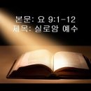 1월 31일(월) 요 9:1-12 실로암 예수 이미지