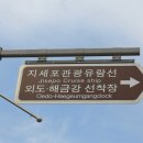 지세포항 티스토리