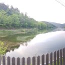 스파펜션엘라고 이미지