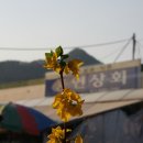 일월산약국 이미지