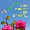 삼승 Daum카페