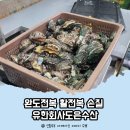 유한회사 신선