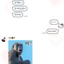허니비이