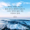 성공미디어메가비전영남지사 | "2023년 11월 9일 주요신문 헤드라인"