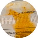 차이나공 | 호텔 중식당#1 차이나룸: 크리스마스 런치 상세 후기