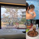 경주 수약국 | 경주 감포 풀빌라 펜션 추천 오류고아라해변 가성비 숙소 스테이옥스