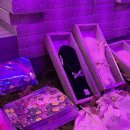 인생네컷 코스 이미지