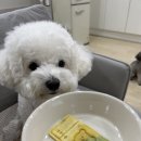 오해피댕 이미지