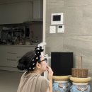 아림아구찜